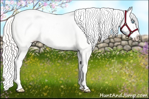 Horse Color:White Spotted Silver Smoky Grullo Pearl Blanket 