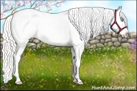 Horse Color:White Spotted Silver Smoky Grullo Pearl Blanket