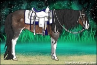 Horse Color:Liver Chestnut Sabino
