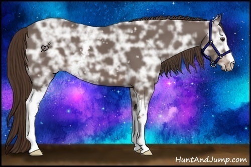 Horse Color:White Spotted Liver Chestnut Ice Sabino 