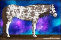 Horse Color:White Spotted Liver Chestnut Ice Sabino 