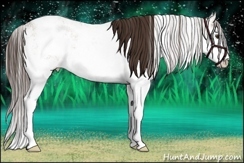 Horse Color:Liver Red Dun Ice Sabino 