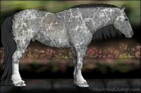 Horse Color:Black Ice 