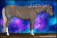 Horse Color:Silver Blue Roan 
