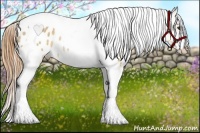 Horse Color:Buckskin Dun Splash Tobiano Frame Appaloosa Rabicano