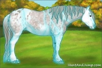 Horse Color:Thunderstruck White Spotted Chestnut Splash Blanket