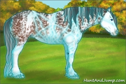 Horse Color:Thunderstruck White Spotted Bay Splash Rabicano