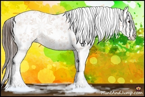 Horse Color:Liver Chestnut Snowflake Varnish