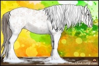 Horse Color:Liver Chestnut Snowflake Varnish