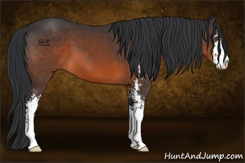 Horse Color:Brown Sabino 