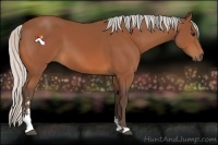 Horse Color:Silver Bay Sabino