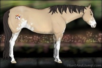 Horse Color:Amber Champagne Dun Sabino