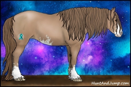 Horse Color:Black Pearl Sabino 