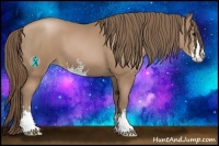 Horse Color:Black Pearl Sabino