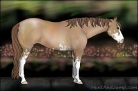 Horse Color:Black Pearl Sabino