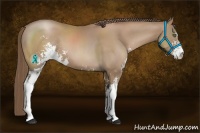 Horse Color:Black Pearl Sabino
