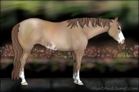 Horse Color:Black Pearl Sabino