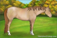 Horse Color:Chestnut Pearl