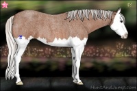 Horse Color:Silver Bay Roan Splash 