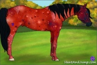 Horse Color:ERROR: UNKNOWN ANOMALY
