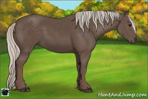 Horse Color:Silver Black 