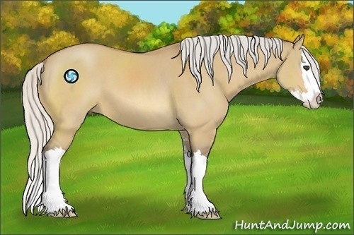 Horse Color:Silver Buckskin Dun Sabino Splash 