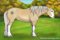 Horse Color:Silver Buckskin Dun Sabino Splash 