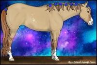 Horse Color:Red Dun Sabino 