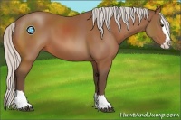 Horse Color:Silver Bay Sabino Splash 