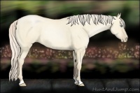 Horse Color:Palomino Pearl Dun 