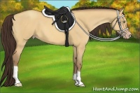 Horse Color:Amber Champagne Dun 