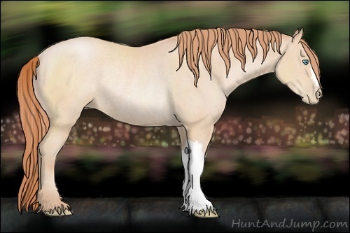 Horse Color:Buckskin Pearl Rabicano
