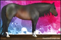 Horse Color:Brown 