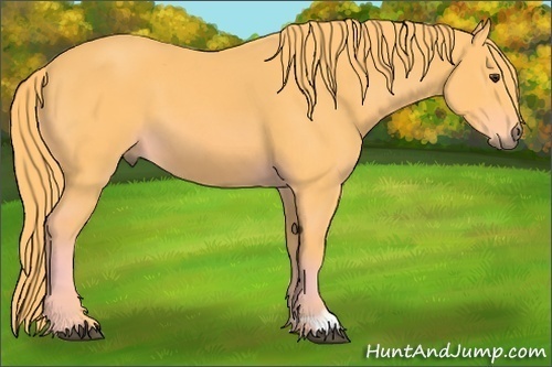 Horse Color:Watercolor Chestnut 