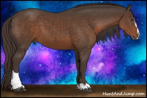 Horse Color:Liver Chestnut Sabino 