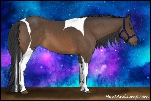 Horse Color:Buckskin Sabino Tobiano