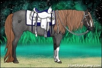 Horse Color:Liver Red Roan Rabicano