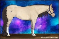 Horse Color:Amber Champagne Roan Dun