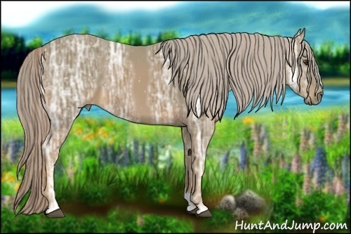 Horse Color:Watercolor Palomino Ice 