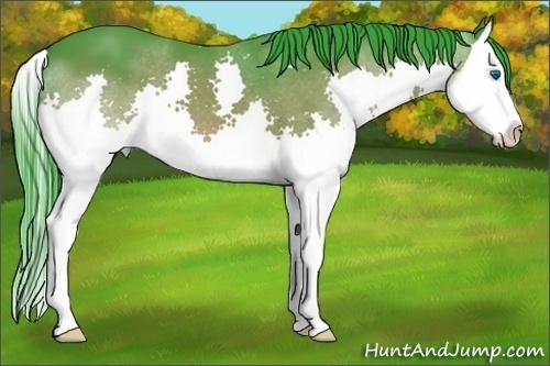 Horse Color:Watercolor Bay Splash 