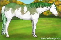 Horse Color:Watercolor Bay Splash