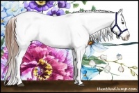 Horse Color:Chestnut Blanket 