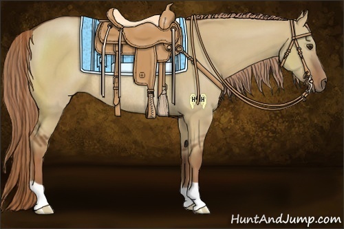 Horse Color:Red Dun Rabicano 