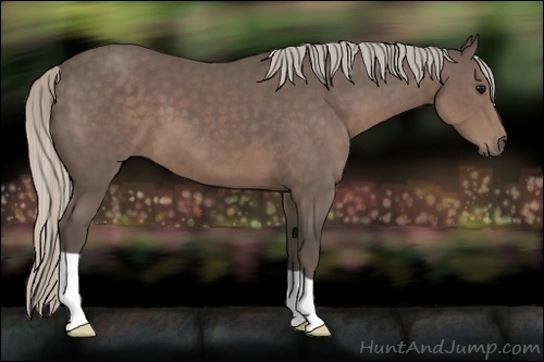 Horse Color:Silver Black 