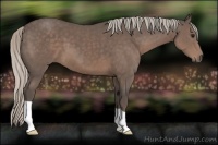 Horse Color:Silver Black 