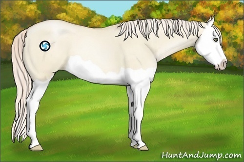 Horse Color:Palomino Pearl Dun Splash 