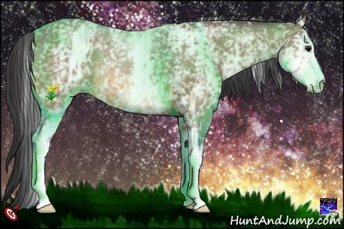 Horse Color:White Spotted Buckskin 