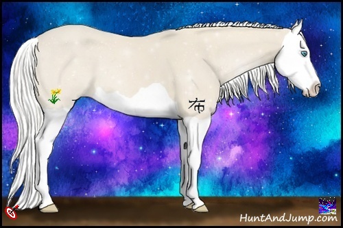Horse Color:Silver Smoky Creme Splash 