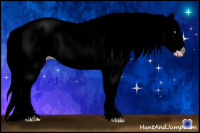 Horse Color:Gray White Spotted Silver Perlino Dun