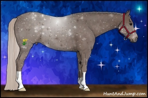 Horse Color:Silver Black 